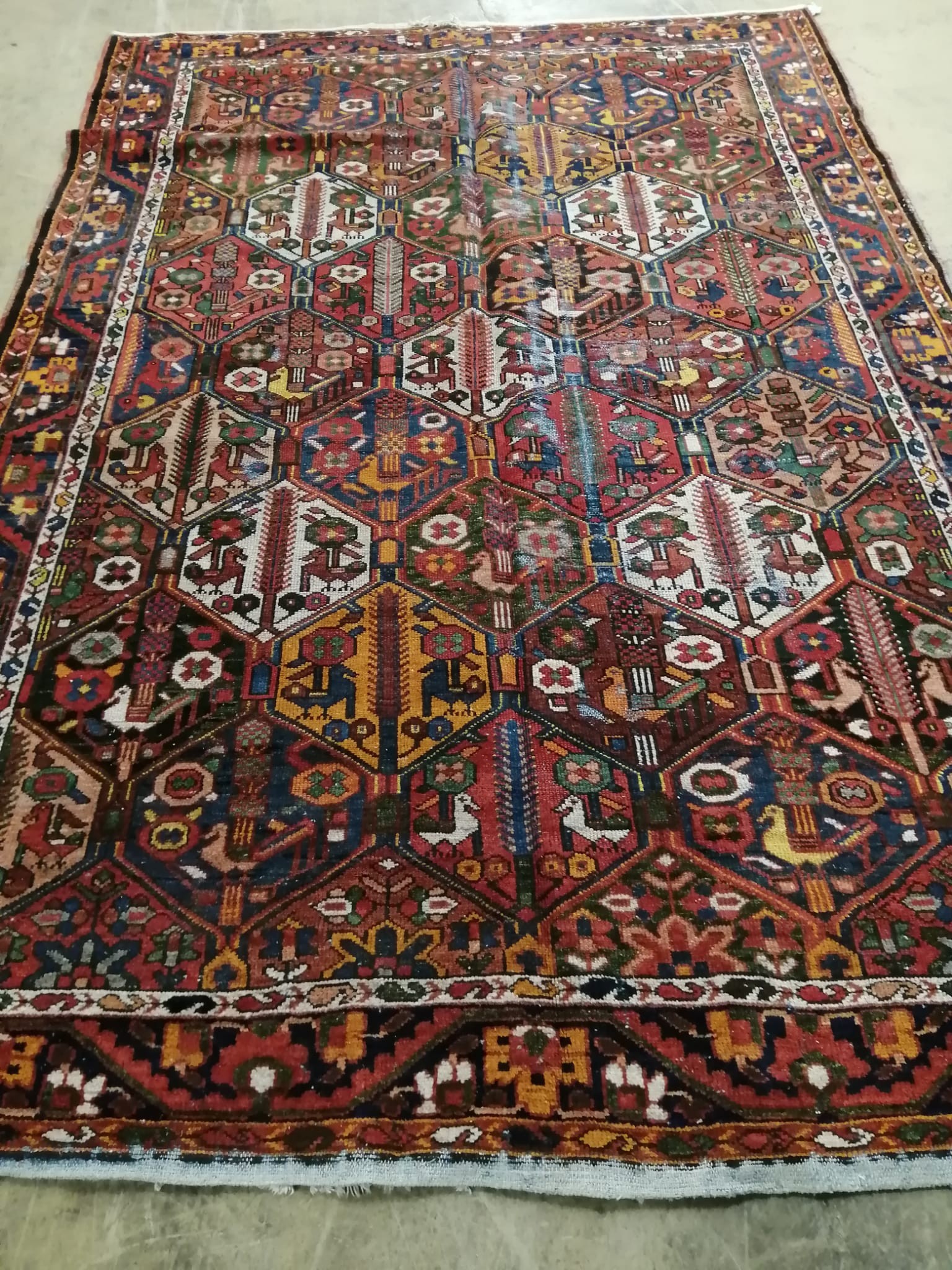 A Baktiar carpet, 310 x 210cm